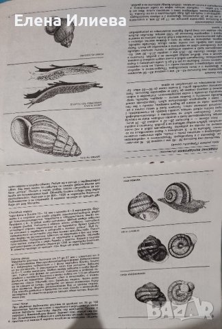 Природа и знание. Списание на българското природоизпитателно дружество, снимка 2 - Списания и комикси - 43929737