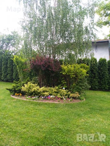 Професионално почистване на къщи, снимка 15 - Почистване на домове - 33600303