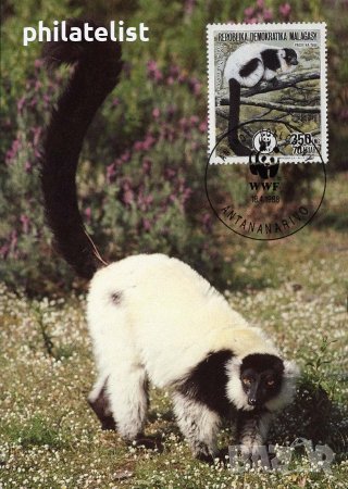Мадагаскар 1988 - 4 броя Карти Максимум - WWF, снимка 4 - Филателия - 38896790