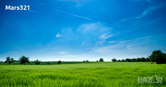 Продавам земеделска земя 34 дка с.Царичино обл. Добрич