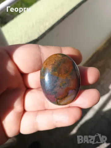 Натурален палмов камък, снимка 6 - Антикварни и старинни предмети - 50092366