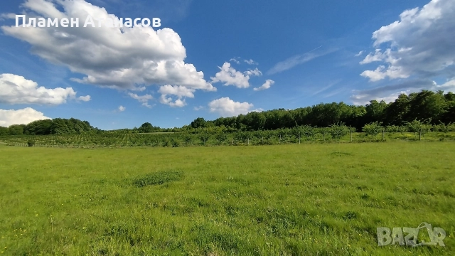 ЕЛЕНА общ. Велико Търново 8 000 кв.м. Равен парцел с лице на 3 пътя , снимка 8 - Земеделска земя - 52881114