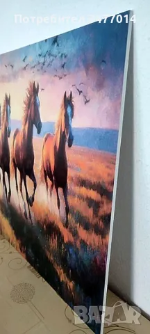 ПВЦ пано, картина с коне, снимка 3 - Картини - 49096820