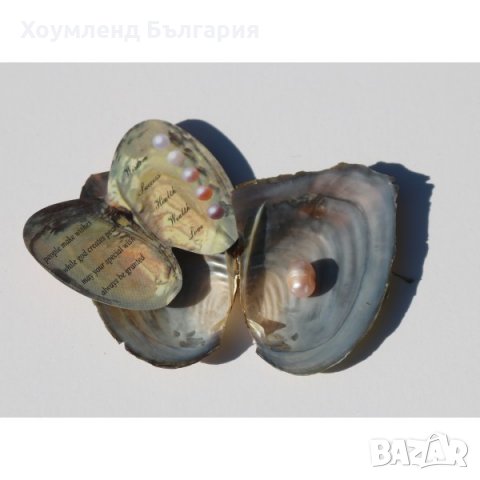 Подарък зодия - перла в мидена черупка с различен зодиакален знак, снимка 2 - Други - 26768966