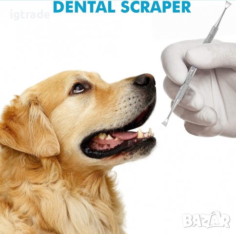 Candure скрепер за зъби и зъбен камак/плака - за възрастни и животни, снимка 5 - Други - 39311751