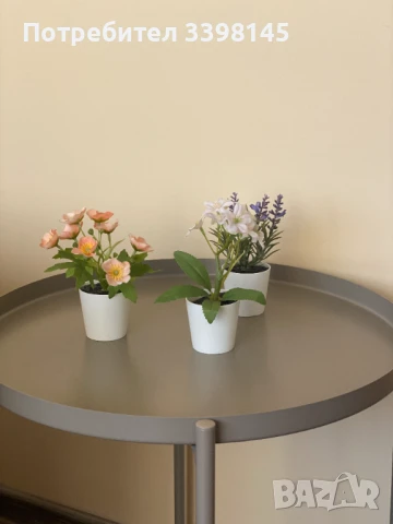 Апартамент "Морски бриз" в центъра на гр.Варна, снимка 11 - Апартаменти - 50647824