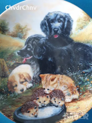 9бр Seltmann/ЗЕЛТМАН Бавария немска колекционерска декоративна порцеланова чиния-картина/животни, снимка 8 - Картини - 48371239