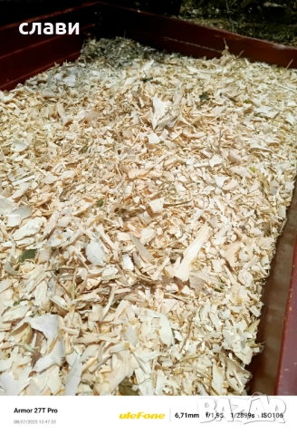 ЧЕРНИЧЕВ МУЛЧ / ДЪРВЕСЕН ЧИПС / Натурален мулч, снимка 12 - Градински цветя и растения - 51494873