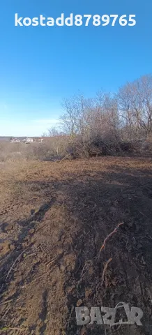 Парцел в село Звездица, снимка 6 - Парцели - 49125193