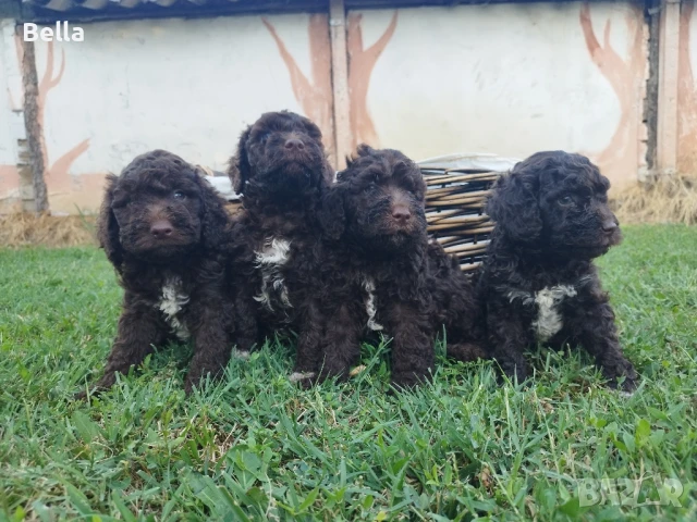 Лагото , снимка 1