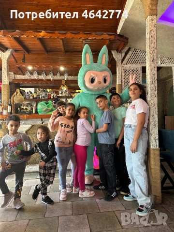 Labubu изненада!, снимка 4 - Детегледачки, детски центрове - 52306194