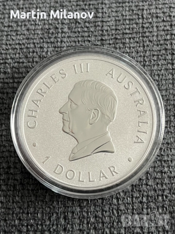 Сребърна инвестиционна монета, Австралийско Бръмби 2025, спец. тираж, снимка 2 - Нумизматика и бонистика - 52878799