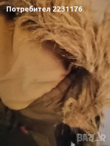  Детско зимно яке със сваляща се качулка-ръст:140см. , снимка 8 - Детски якета и елеци - 27254756