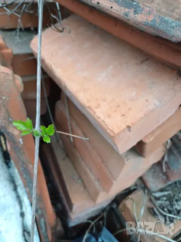 Огнеупорни изолационни тухли + тухли четворки + плътни тухли единички, снимка 8 - Изолации - 49592723