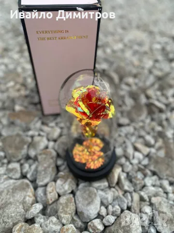 Вечна роза в стъкленица, снимка 1