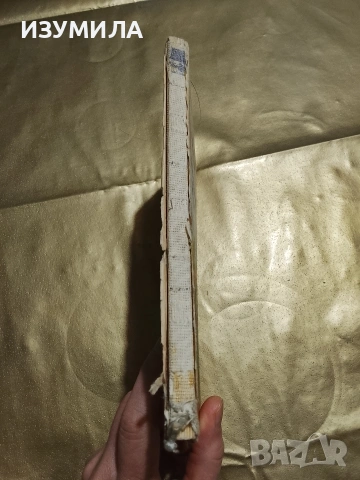 Откраднатият пистолет - Никола Гаговски, снимка 2 - Детски книжки - 53332086