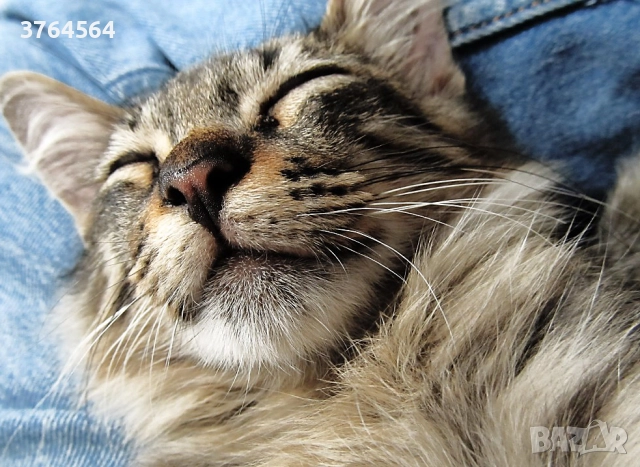 Фотоапарат Canon Power Shot SX130 IS с обектив 28-336 мм (екв. 35 мм) и стабилизация, снимка 9 - Фотоапарати - 52818738