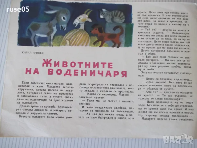Списание "Славейче - книжка 5 - 1965 г." - 16 стр. - 1, снимка 5 - Списания и комикси - 47648185