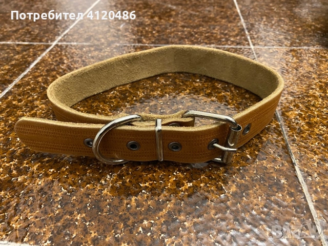 Нашийник за кучета едра порода, снимка 2 - За кучета - 53586950