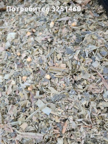 Царевичен силаж, снимка 3 - Крави - 35043966