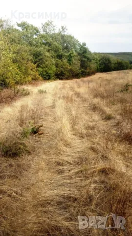 Земя, с. Баня, 6934кв.м, Иракли Вая, р. Вая

, снимка 4 - Земеделска земя - 47303072