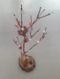 Плолетно дърво - за декорация, снимка 1