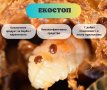 Екостоп Био блокчета с тимол и ментово масло за борба срещу вароатоза, снимка 5