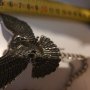 Гердан,медальон  с  метален орел, снимка 9