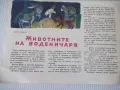 Списание "Славейче - книжка 5 - 1965 г." - 16 стр. - 1, снимка 5