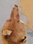 Кожа от лисица, снимка 3