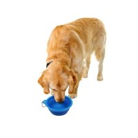 4352 Силиконова сгъваема купичка за храна или вода за домашни любимци, снимка 2 - За кучета - 43800364