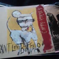 Grant Lee Buffalo ‎– Copperopolis оригинален диск, снимка 1 - CD дискове - 35610894