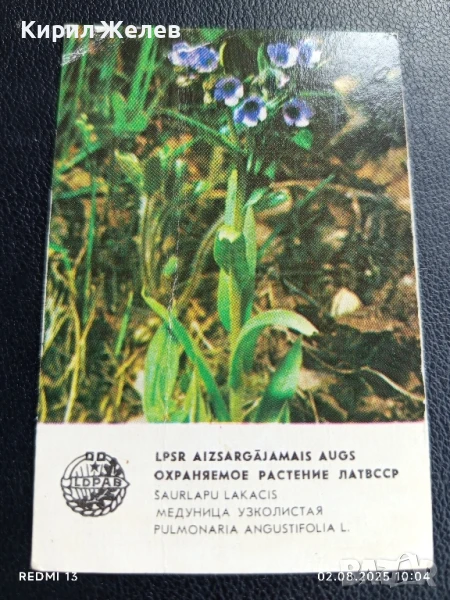 Старо календарче 82г. ЦВЕТЯ рядко за КОЛЕКЦИЯ ДЕКОРАЦИЯ 35327, снимка 1