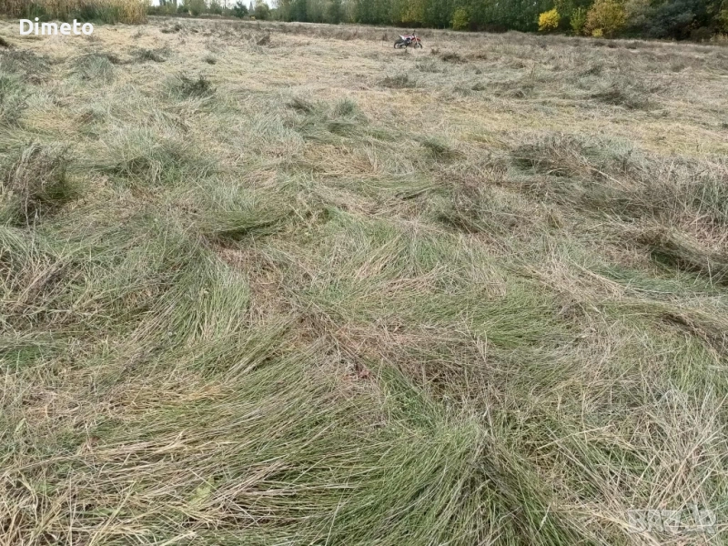 Бали сено, снимка 1