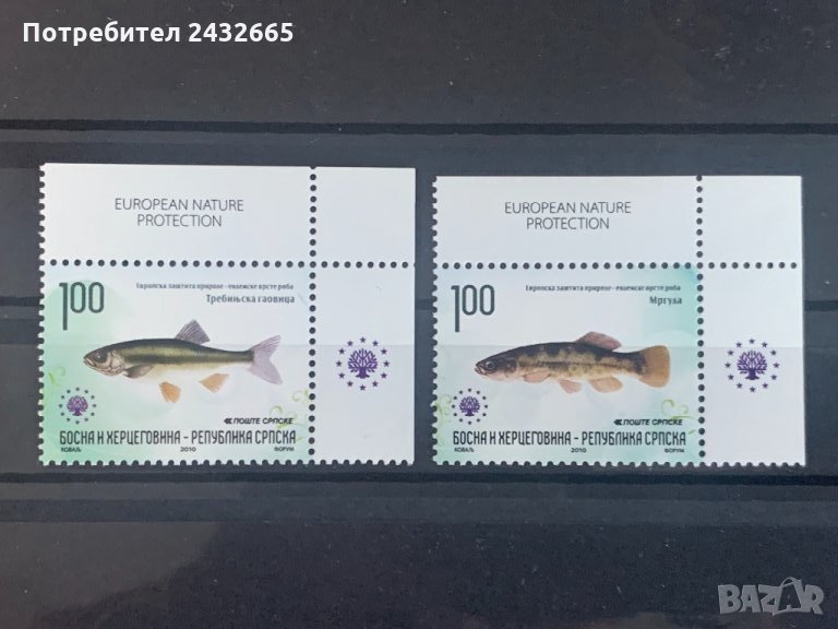 605. Босна и Х.( Реп.Сръбска ) 2010 = “Фауна. Ендемични риби. Опазване на  природата. ”,**, MNH , снимка 1
