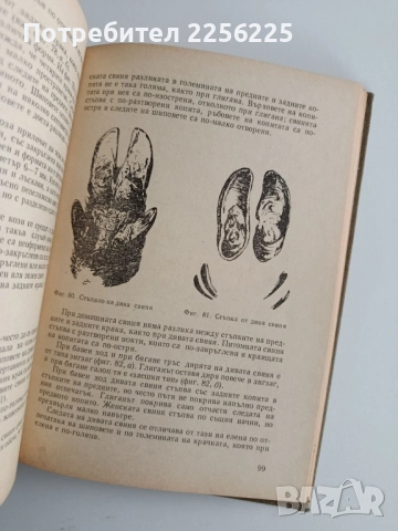 Наръчник на дивечовъда, снимка 3 - Специализирана литература - 52441752