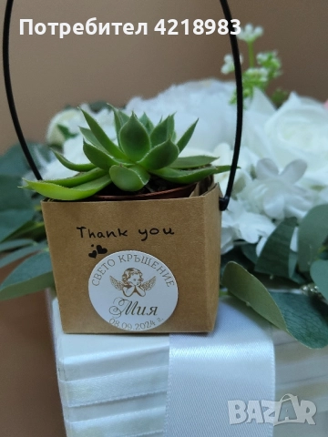 Сукуленти за подаръчета , снимка 2 - Декорация - 51579009