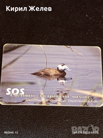 Три фонокарти МОБИКА тема ЖИВОТНИ БАЛКАНСКА ЧЕСНОВНИЦА,ЕЛЕНОВ РОГАЧ 47017, снимка 10 - Колекции - 51656788