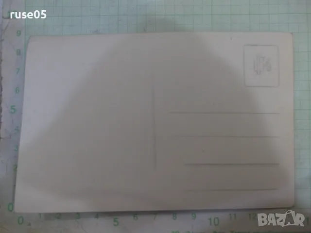 Снимка стара на празнуващи на маса, снимка 2 - Колекции - 48001542