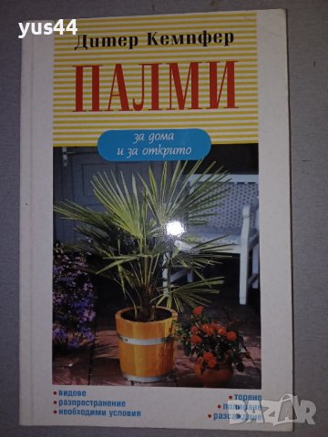 Палми, снимка 1 - Стайни растения - 38494416