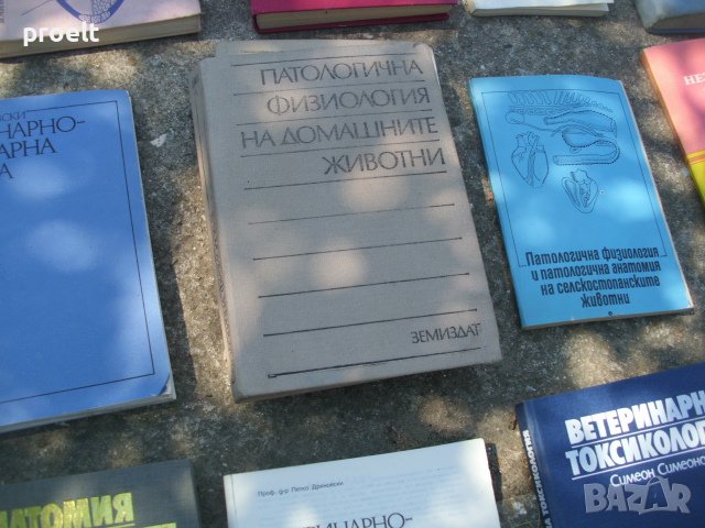 Учебници и ръководства по ветеринарна медицина-2, снимка 13 - Други - 37513486