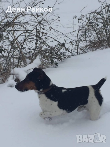 Фокстроиер Ловен, снимка 4 - Други - 53403295