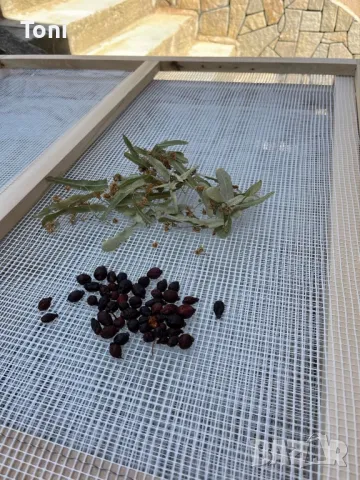 Рамки за сушене на билки,гъби,плодове,и др., снимка 7 - Други - 47399524