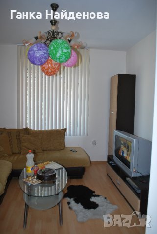 МНОГО КРАСИВ ПОЛИЛЕЙ , снимка 2 - Полилеи - 28055712