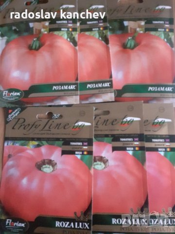 Семена домати Пинк Рок и Пинк Торнадо,Ръгби, снимка 7 - Разсади - 36159206