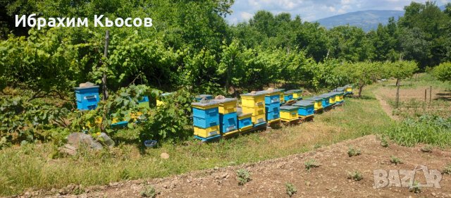 Пчелни кошери - Кошери - Pchelni kosheri - Kosheri , снимка 3 - За пчели - 40275469