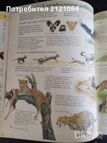 Детска енциклопедия / Живият свят , снимка 5 - Детски книжки - 53475671