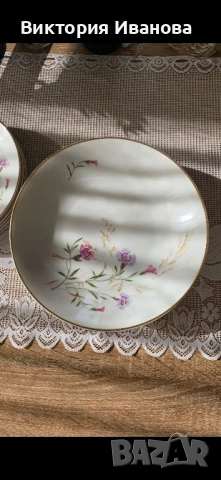 чинии за основно Bavaria, снимка 6 - Антикварни и старинни предмети - 50746802