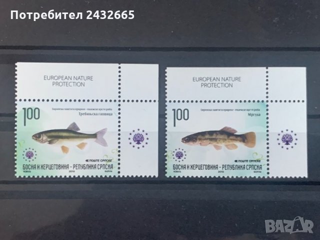 605. Босна и Х.( Реп.Сръбска ) 2010 = “Фауна. Ендемични риби. Опазване на  природата. ”,**, MNH , снимка 1 - Филателия - 33340528