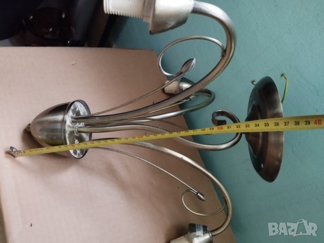 Полилей, снимка 2 - Полилеи - 43351587